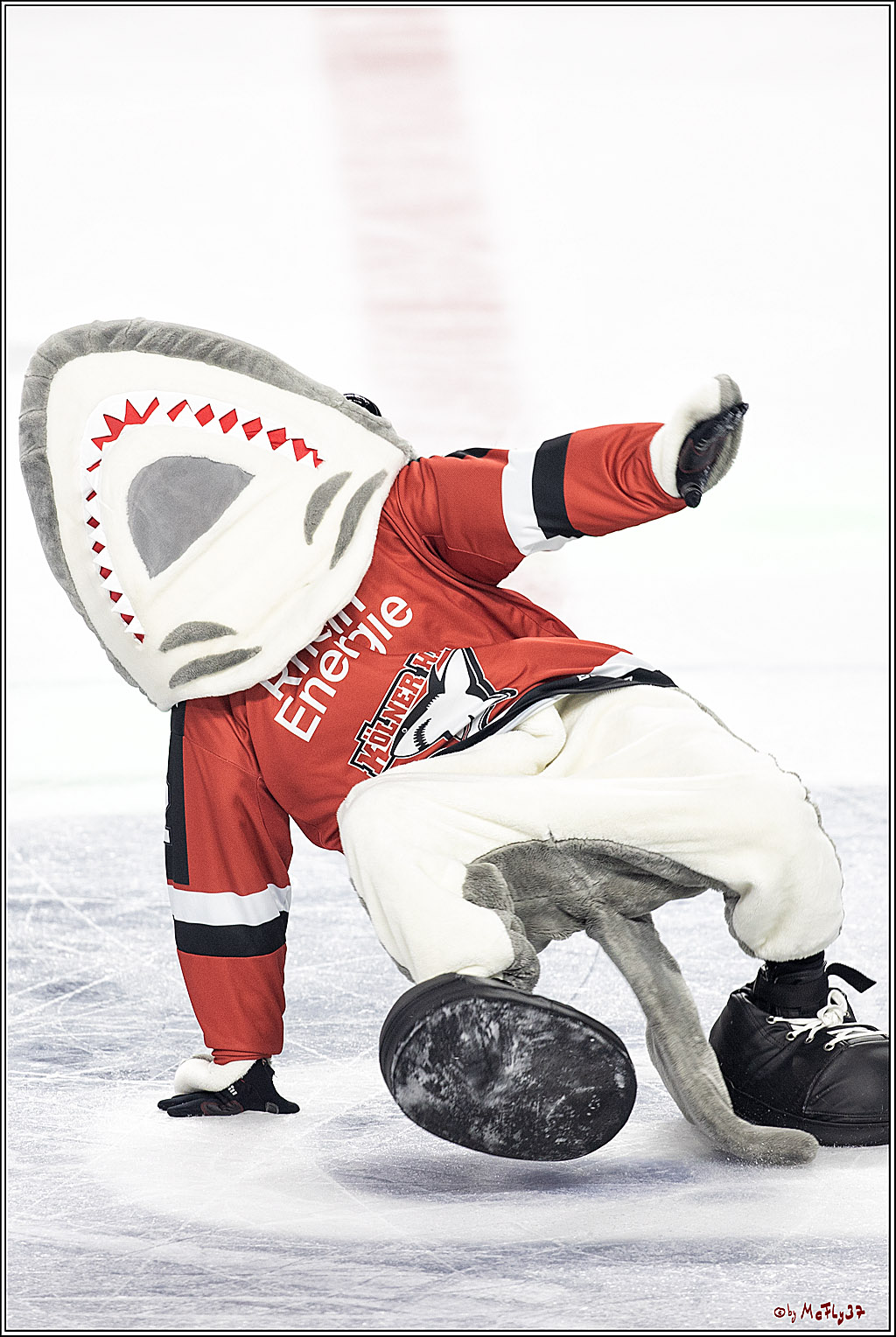 PENNY DEL;  Koelner Haie - Krefeld Pinguine; Koeln, 31.10.2021